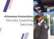 Princeton Protection Security Services South Africa